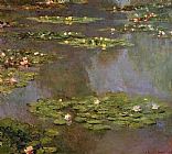 Water Canvas Paintings - Water-Lilies 05